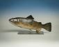 Trout