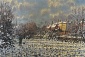 Castlefields Snow